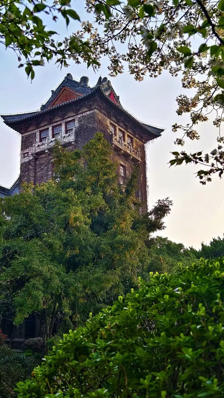 世界杯投注平台