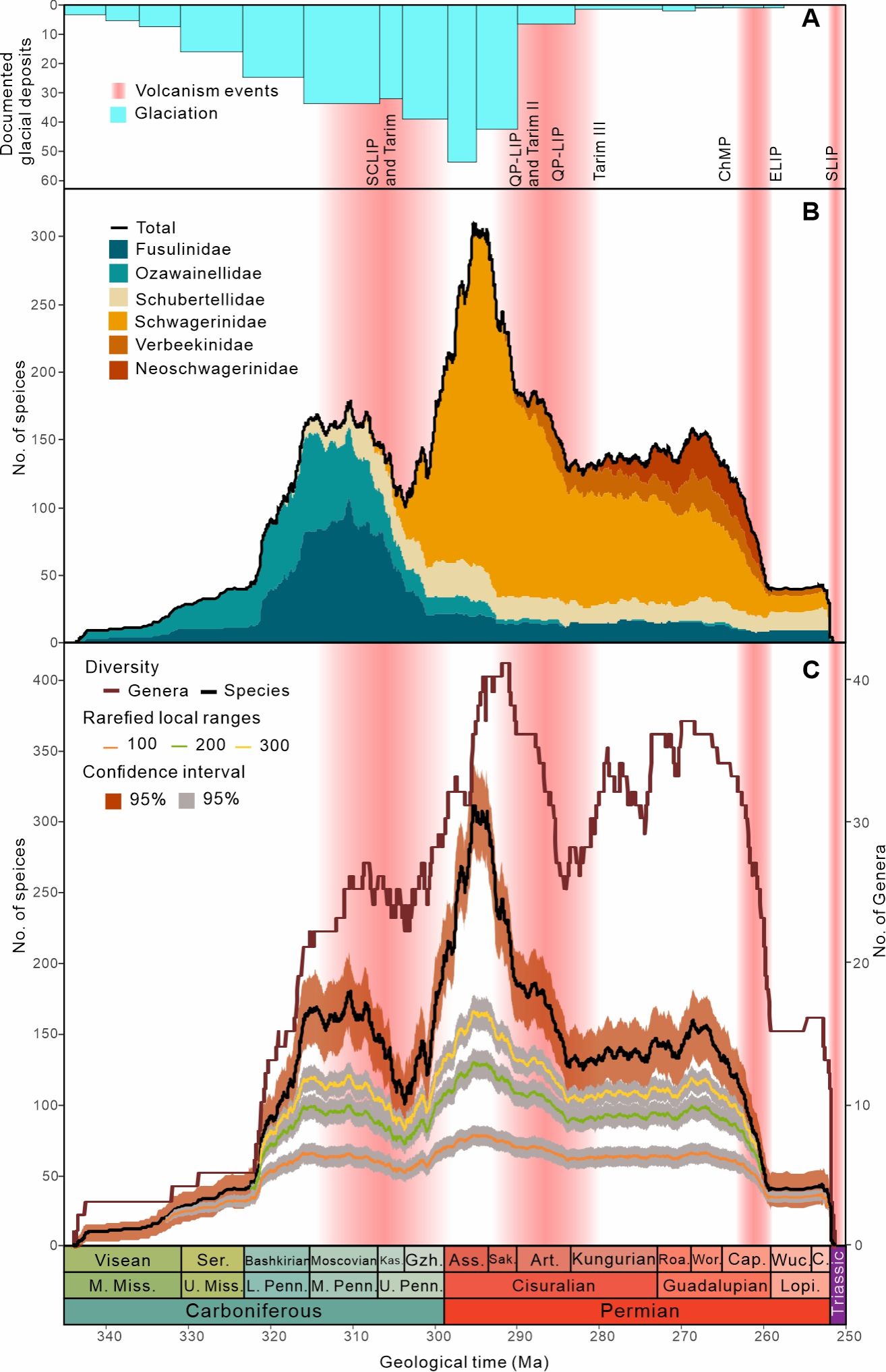 世界杯投注平台