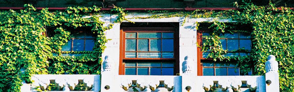 世界杯投注平台