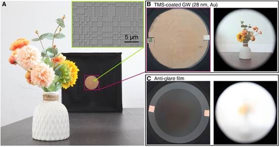 世界杯投注平台