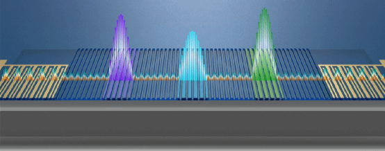 世界杯投注平台