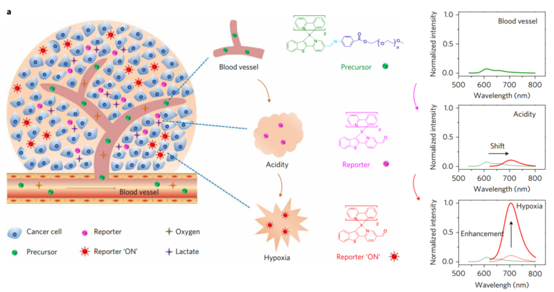 世界杯投注平台