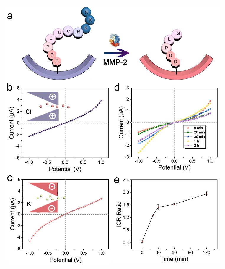 世界杯投注平台
