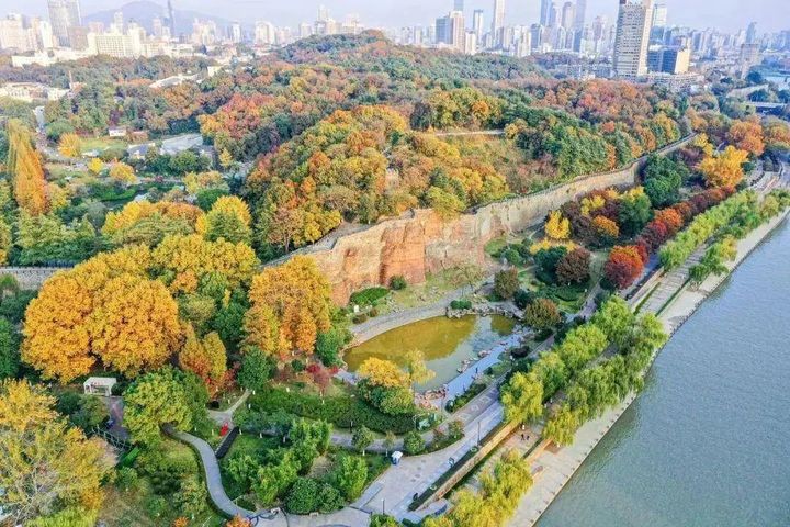 世界杯投注平台