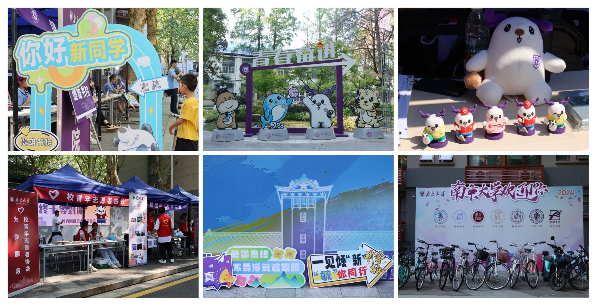 世界杯投注平台