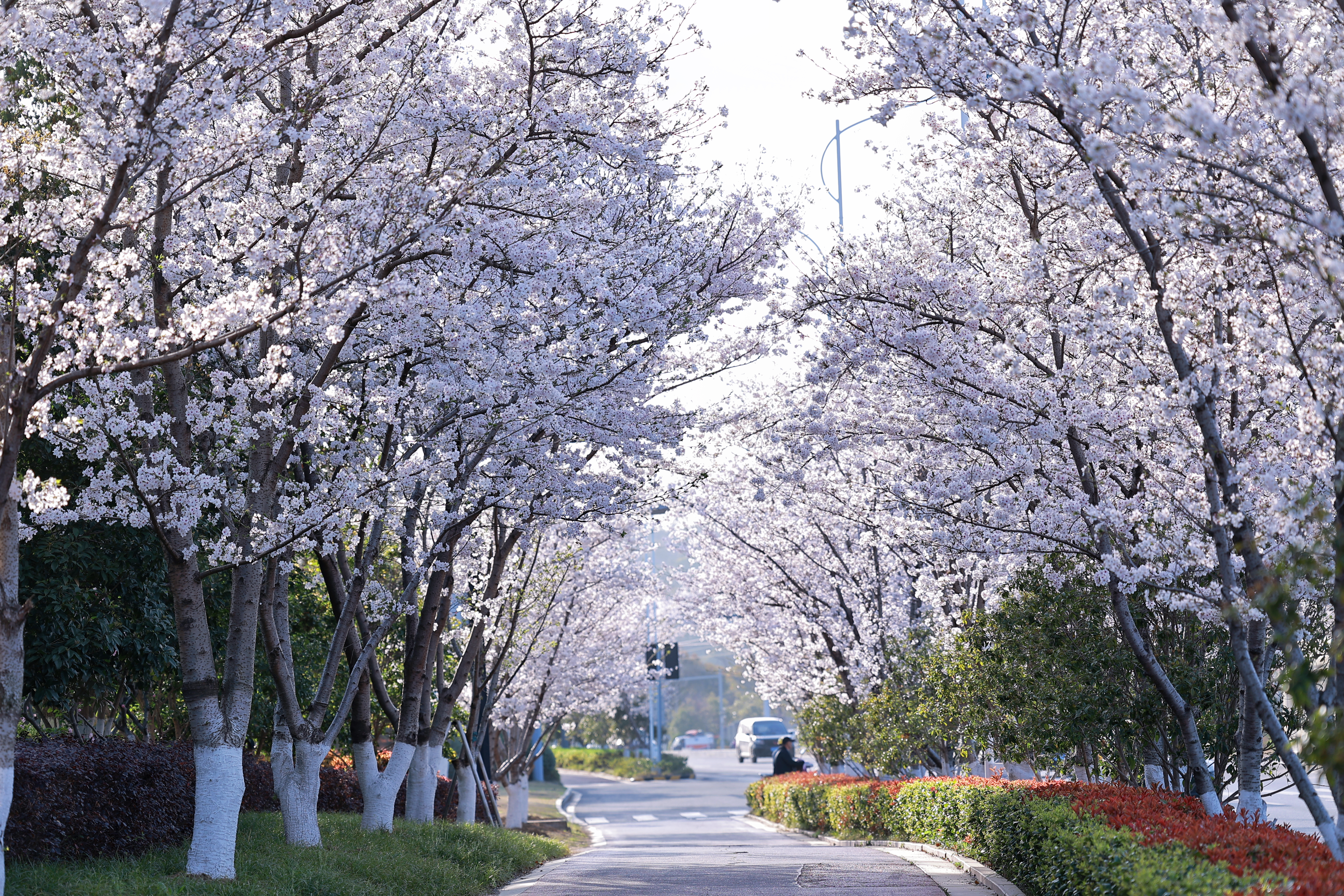 世界杯投注平台