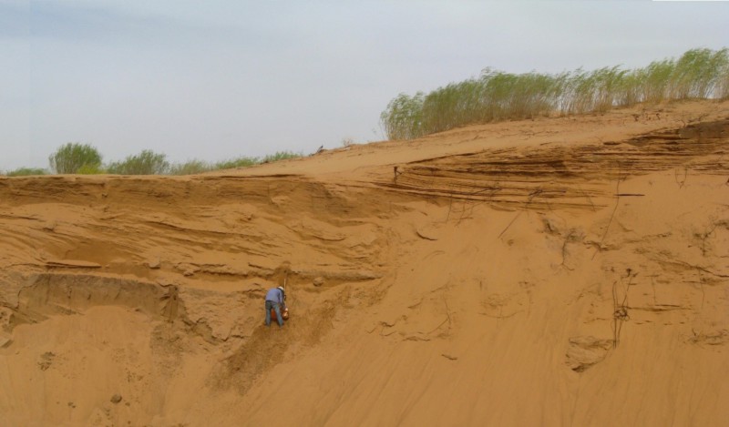 世界杯投注平台