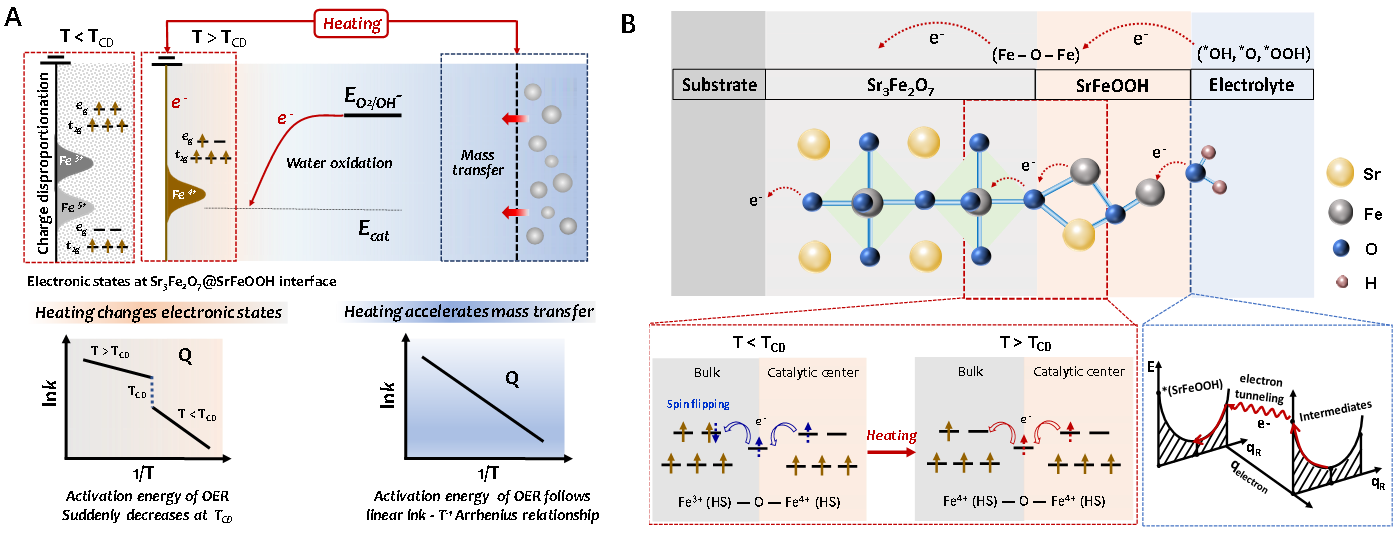 世界杯投注平台