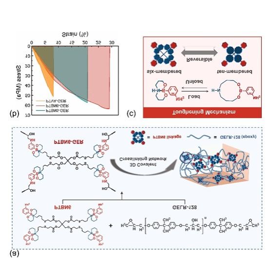 世界杯投注平台