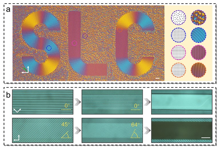 世界杯投注平台