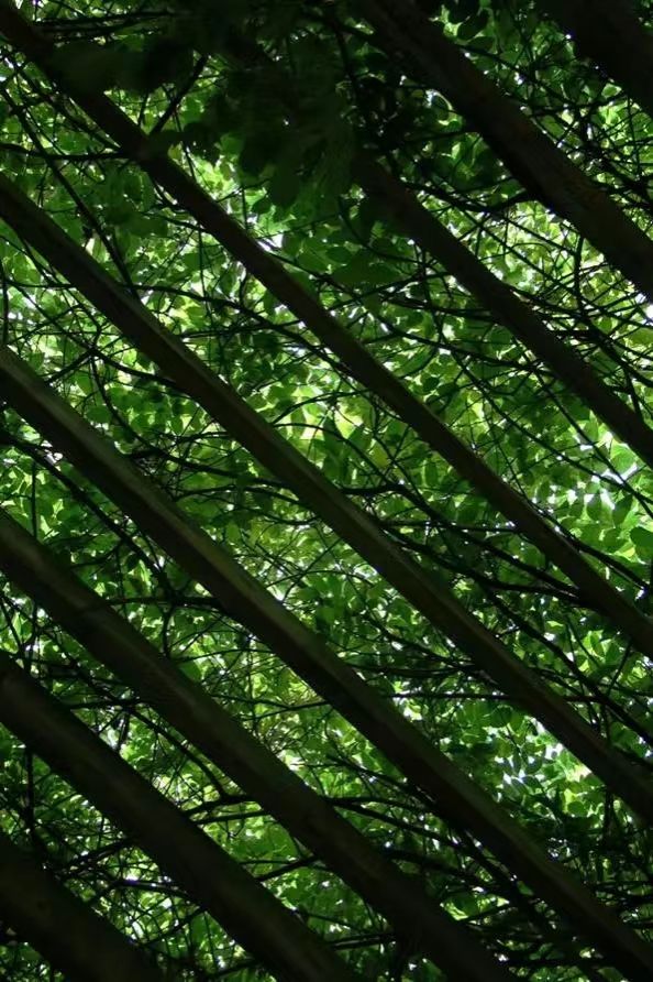 世界杯投注平台