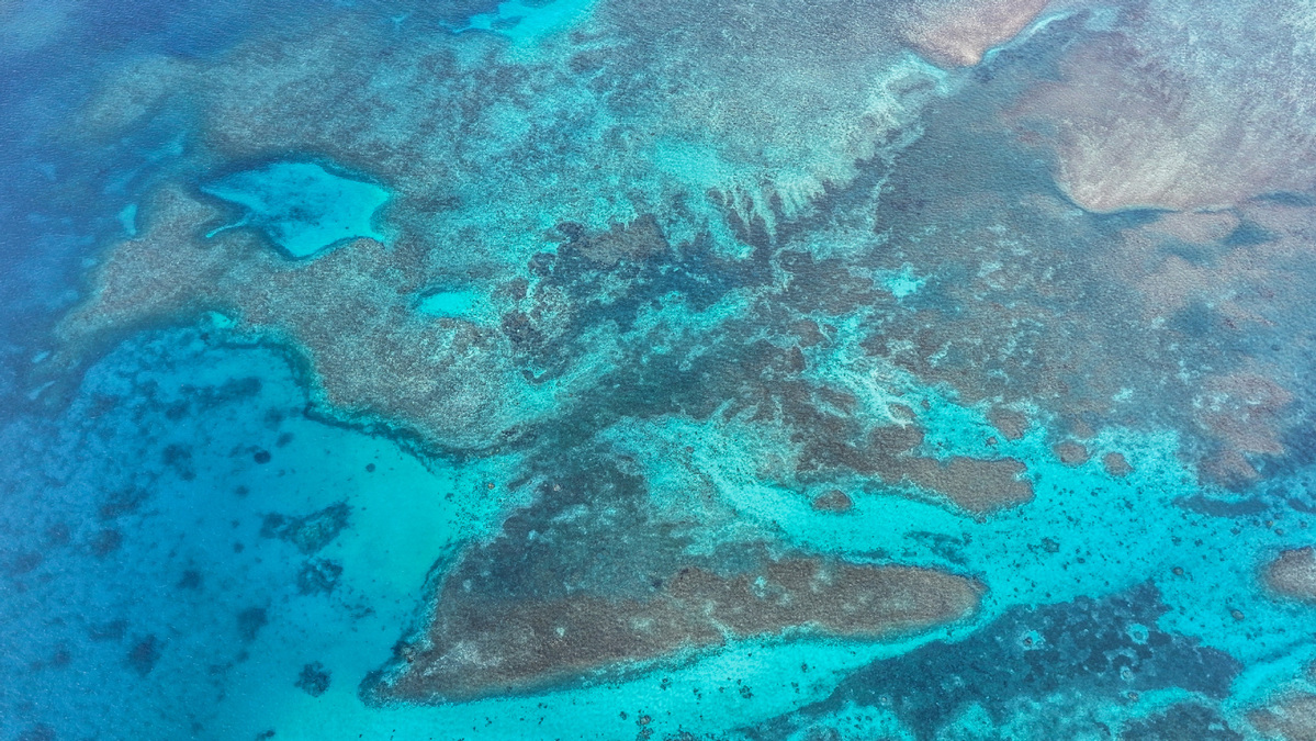 世界杯投注平台