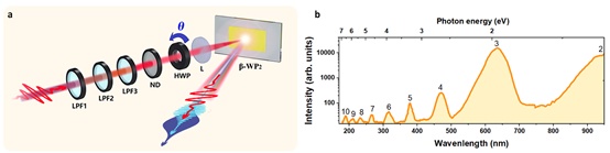 世界杯投注平台