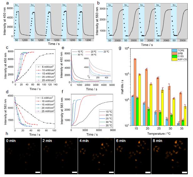 世界杯投注平台