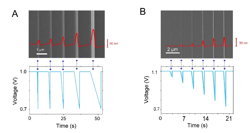 世界杯投注平台