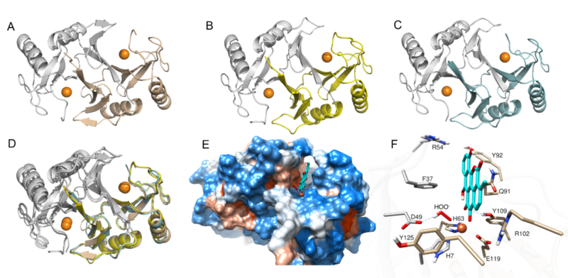 世界杯投注平台
