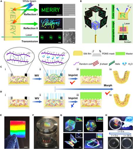 世界杯投注平台