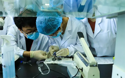 世界杯投注平台