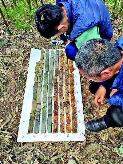 世界杯投注平台