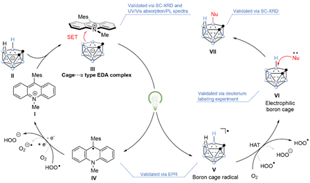 世界杯投注平台