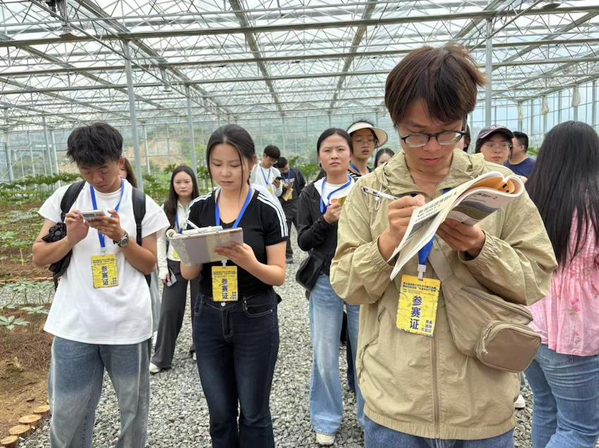 世界杯投注平台