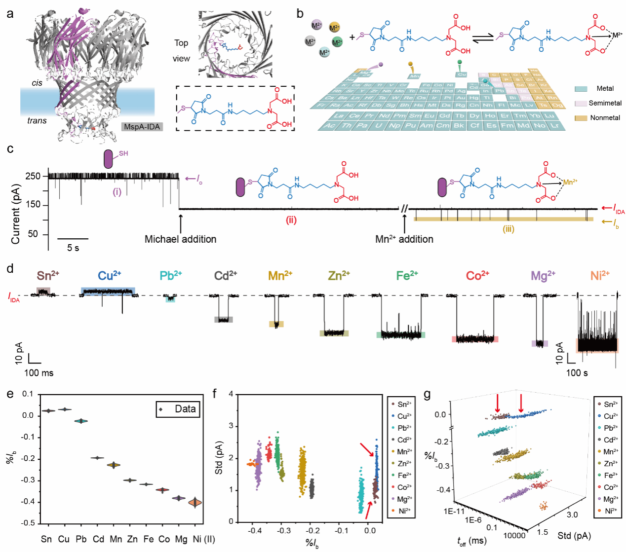 世界杯投注平台