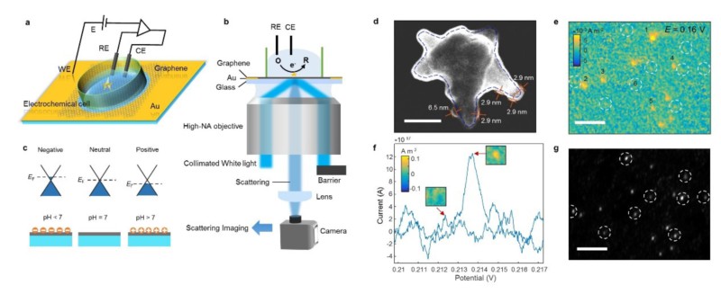 世界杯投注平台