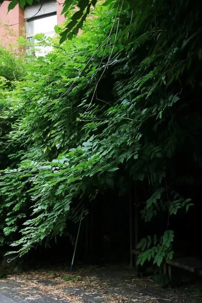 世界杯投注平台