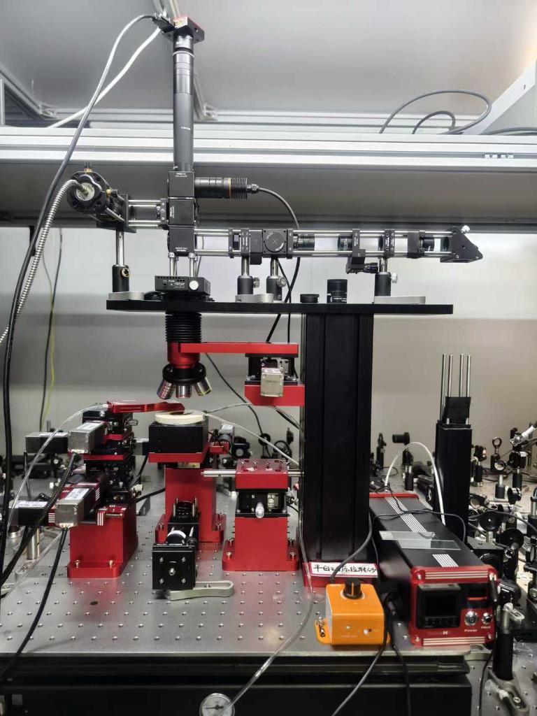 世界杯投注平台