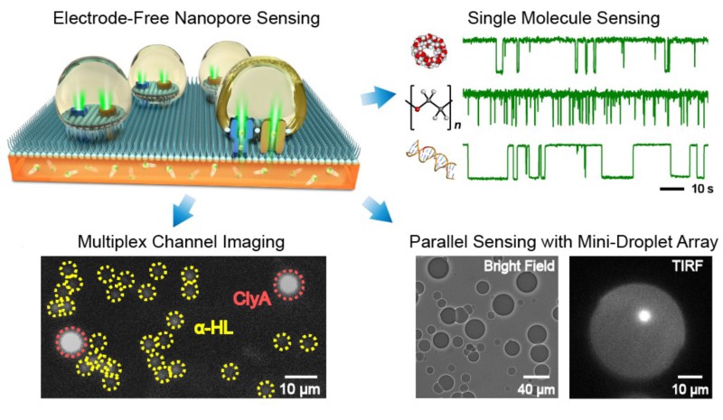 世界杯投注平台