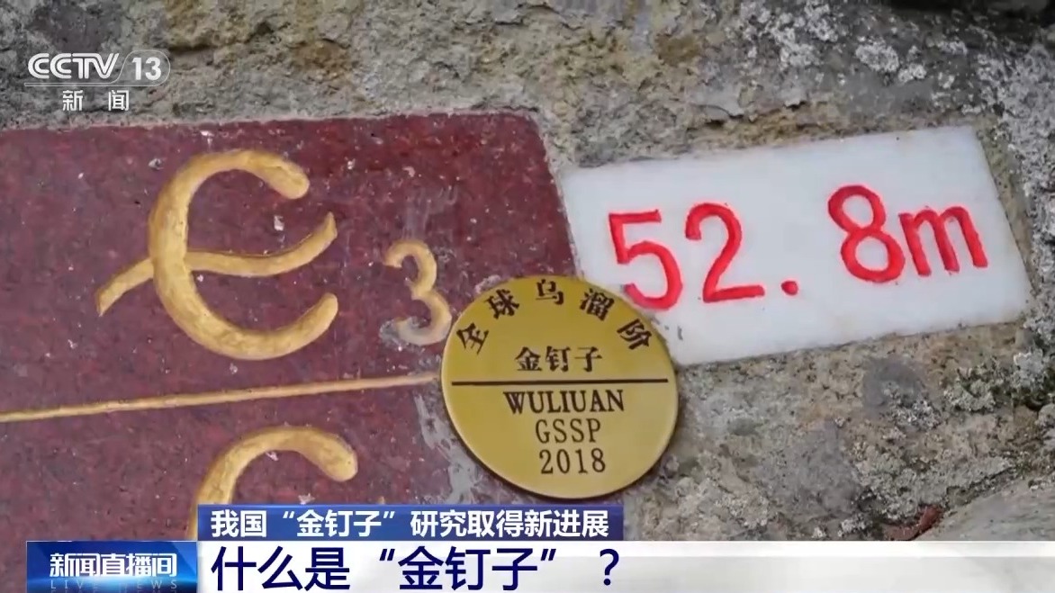 世界杯投注平台