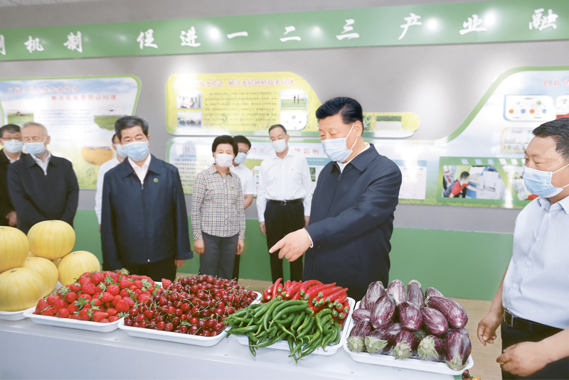 世界杯投注平台