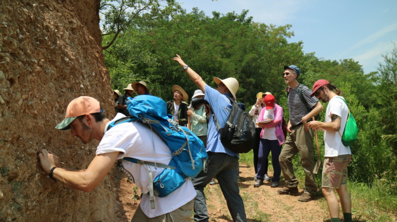世界杯投注平台
