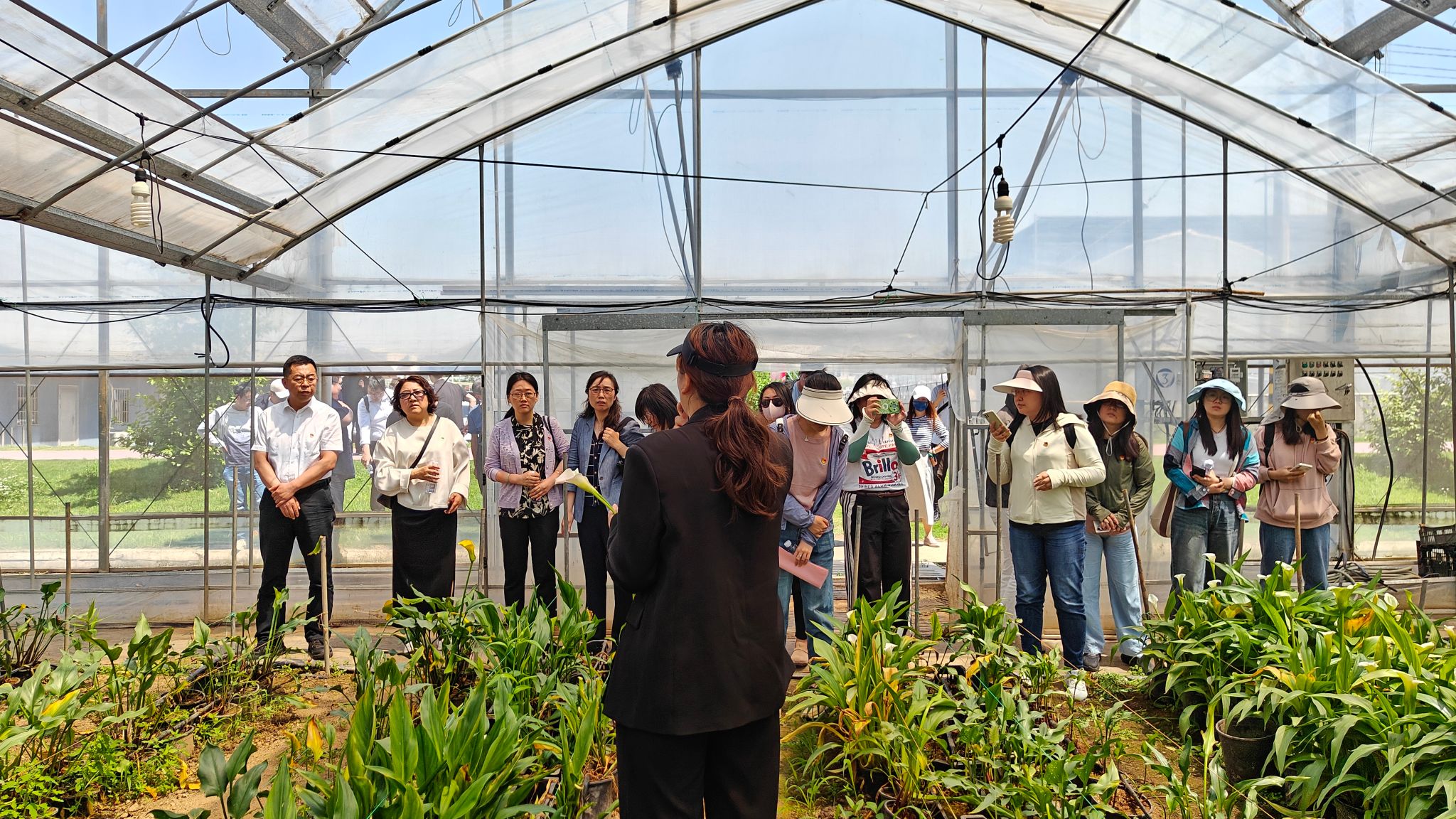 世界杯投注平台