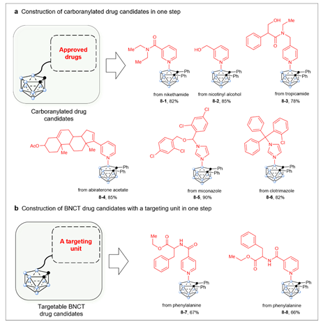 世界杯投注平台