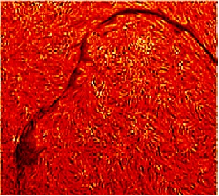 世界杯投注平台