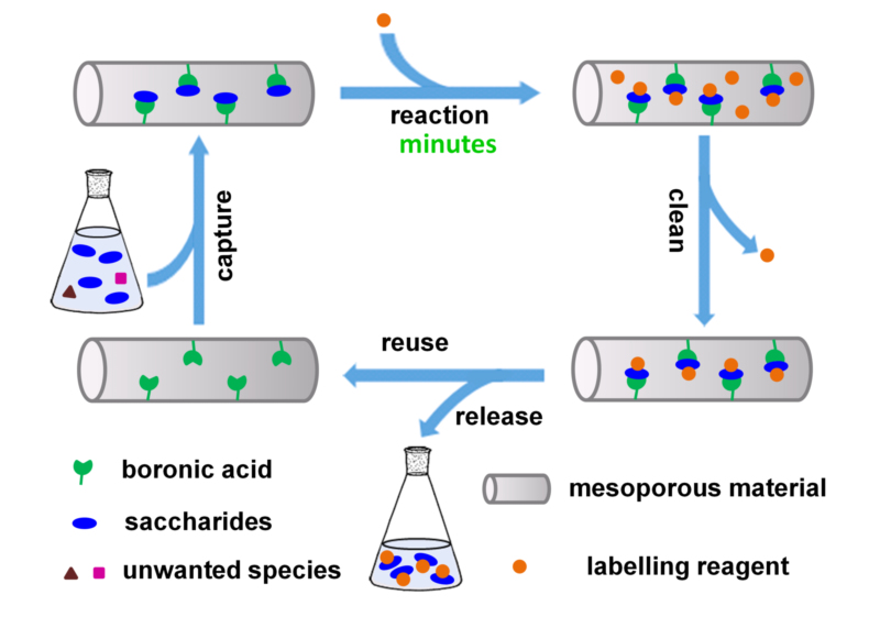 世界杯投注平台