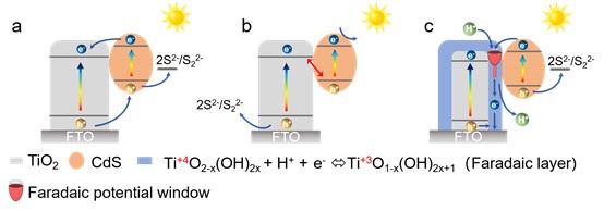 世界杯投注平台