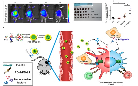 沈萍萍 世界杯投注平台