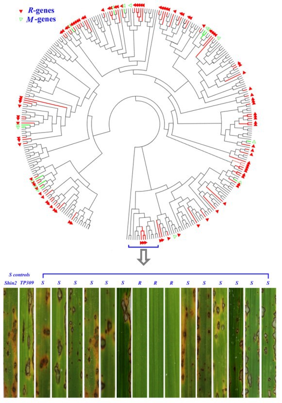 世界杯投注平台