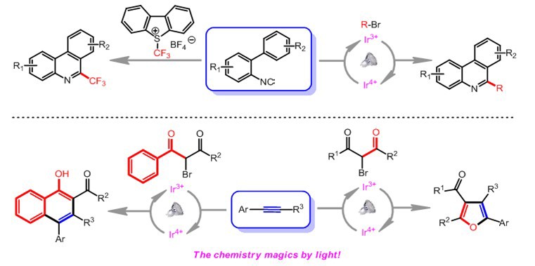 世界杯投注平台