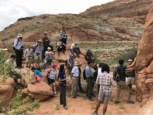 世界杯投注平台