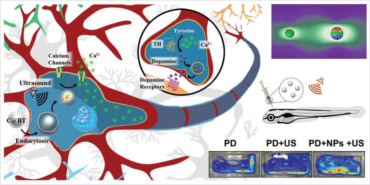 世界杯投注平台