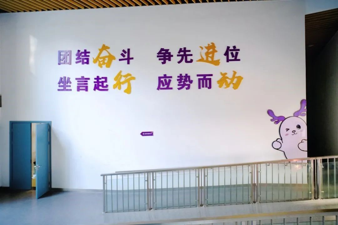 世界杯投注平台