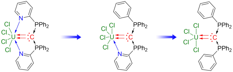 世界杯投注平台