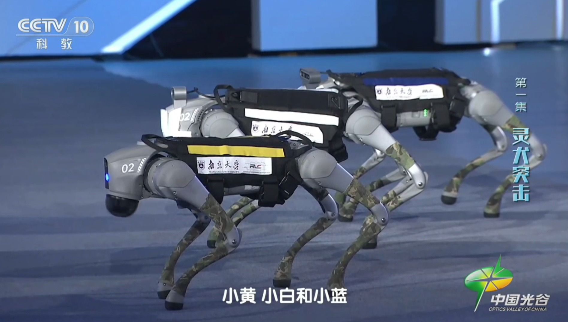 世界杯投注平台