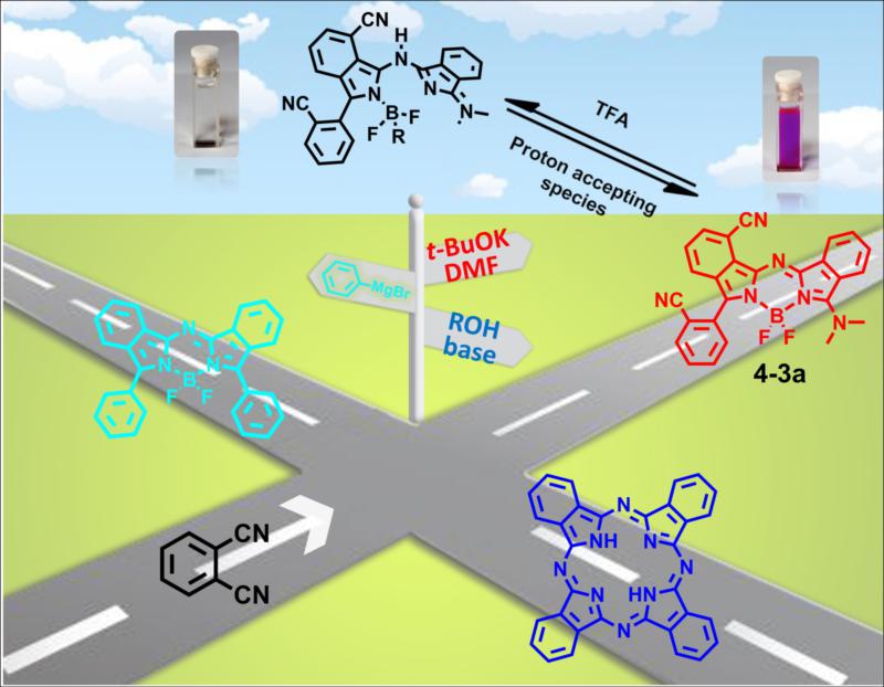 世界杯投注平台