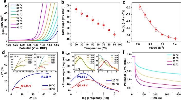 世界杯投注平台