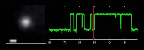 世界杯投注平台