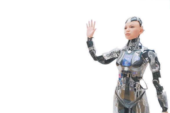 世界杯投注平台